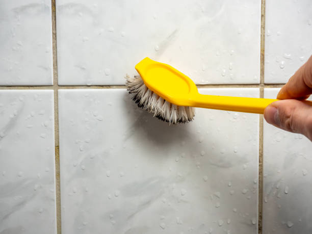 Home Mold Removal in Bryans Road, MD