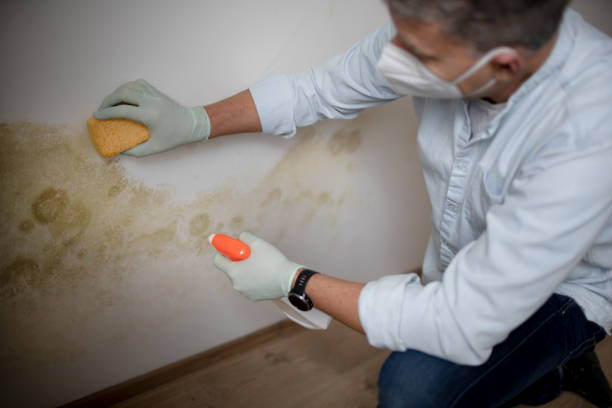 Best Crawl Space Mold Removal  in Bryans Road, MD