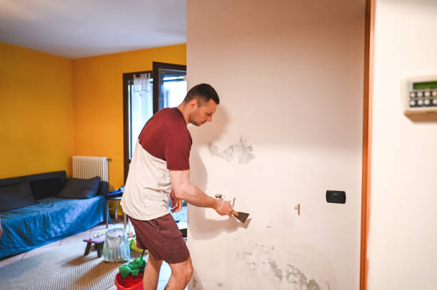 Best Professional Mold Removal  in Bryans Road, MD